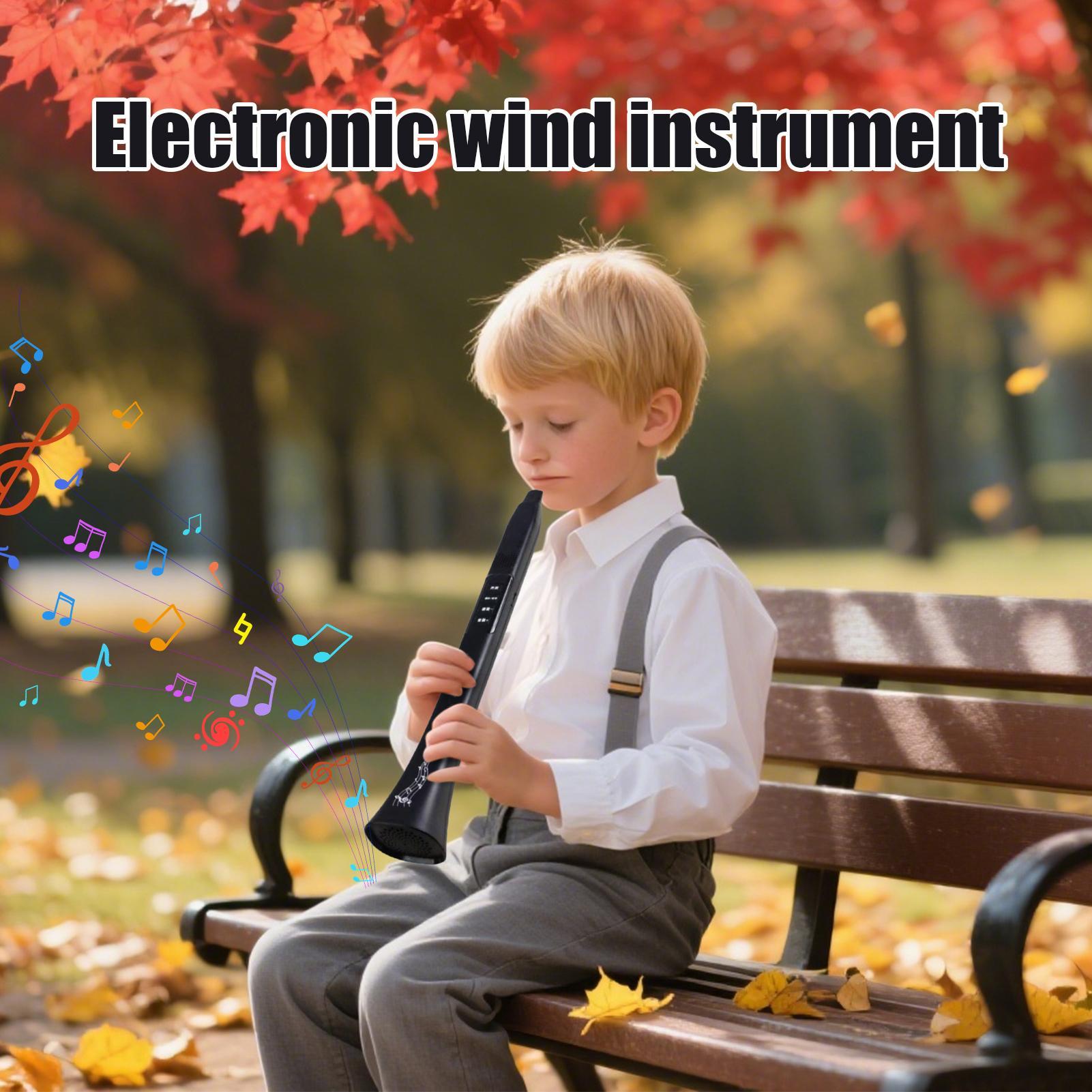 Electronic Digital Wind Instru - Musical Instrument Synthesizer 评论和价格
