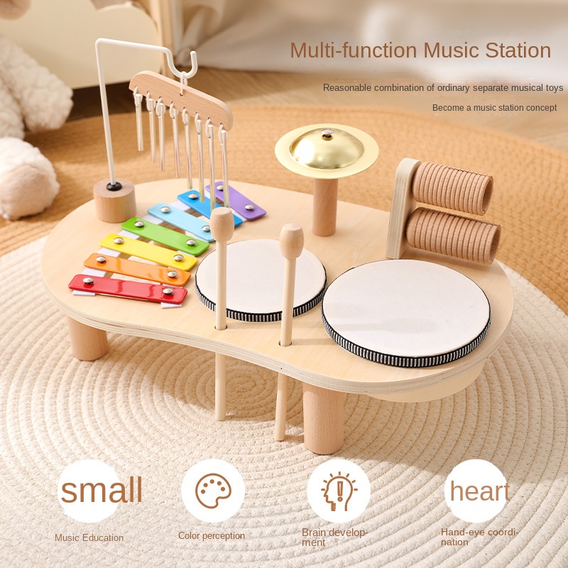 LazyChild Kids Educational Toy - Musical Instrument Games 评论和价格