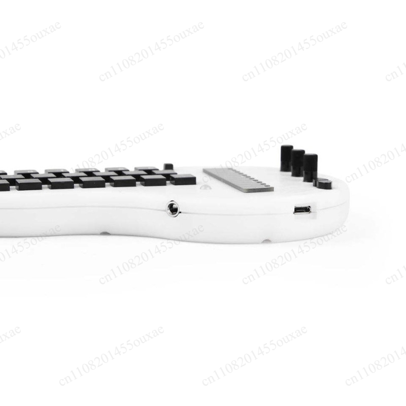 Open Source Minichord Synthesi - Musical Instrument Synthesizer 评论和价格