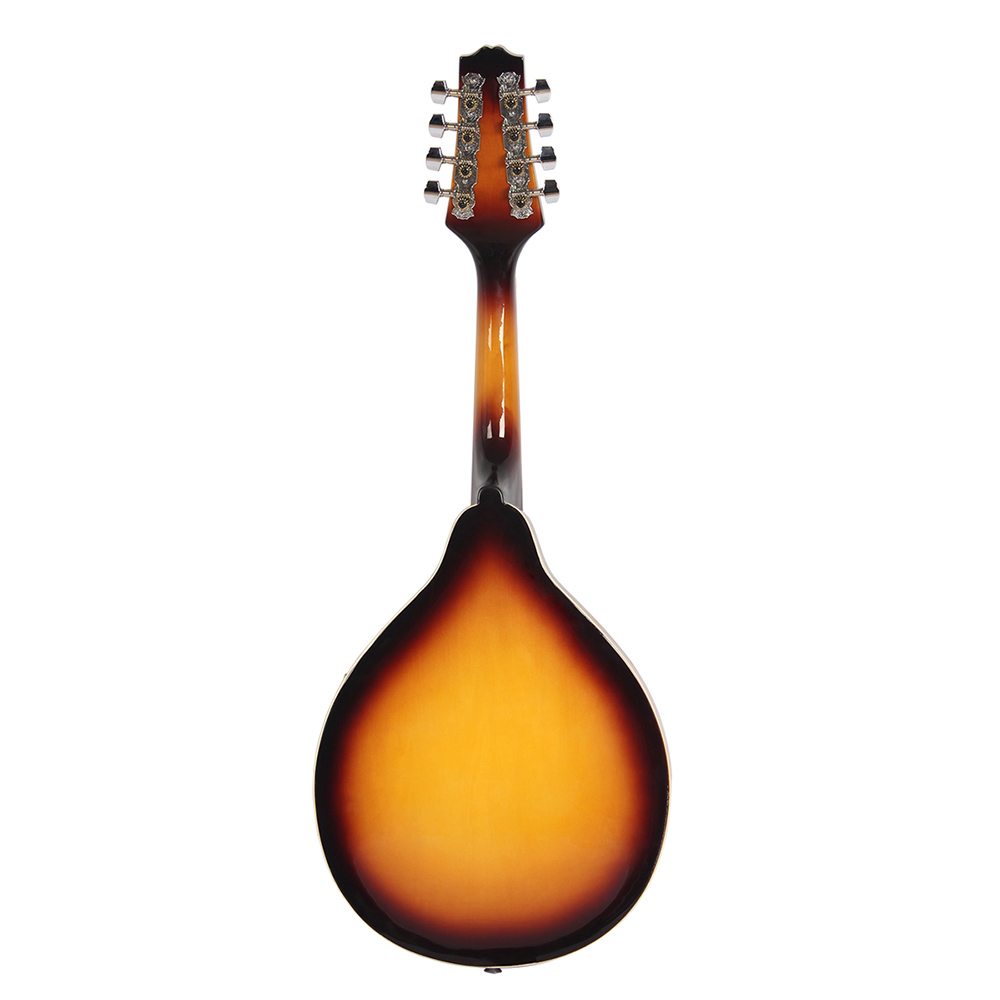 IRIN Mandolin Guitar Basswood  - Charango 10 String 评论和价格