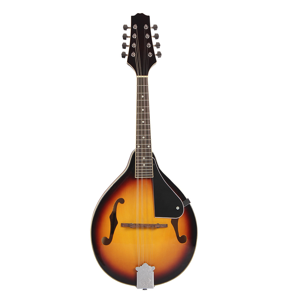 IRIN Mandolin Guitar Basswood  - Charango 10 String 评论和价格